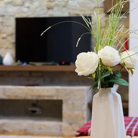 公寓 Apolon 兹拉蒂博尔